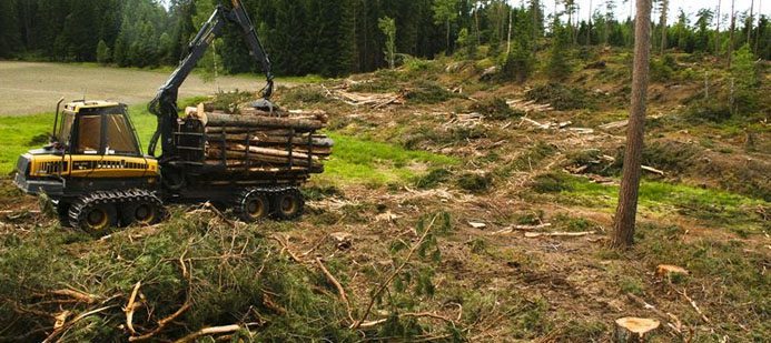 ”Marknaden efterfrågar mer hyvlat”