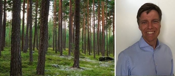 Stora Enso utser ny chef för Wood Products