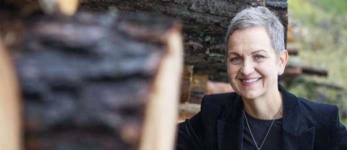 Sveaskogs vd får gå på dagen