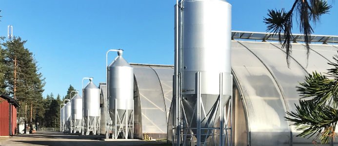 Nu ska biobränsle värma skogsplantorna