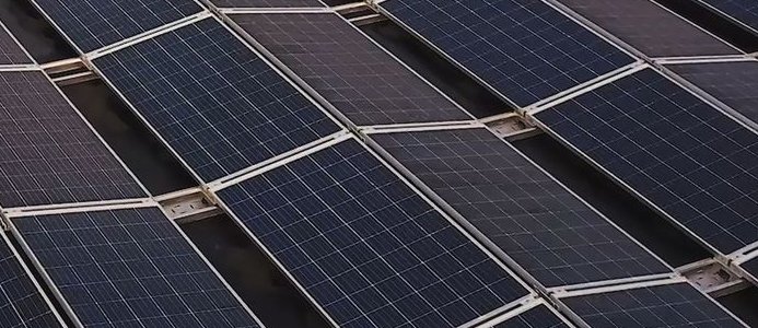 Malmös största solcellsanläggning invigs