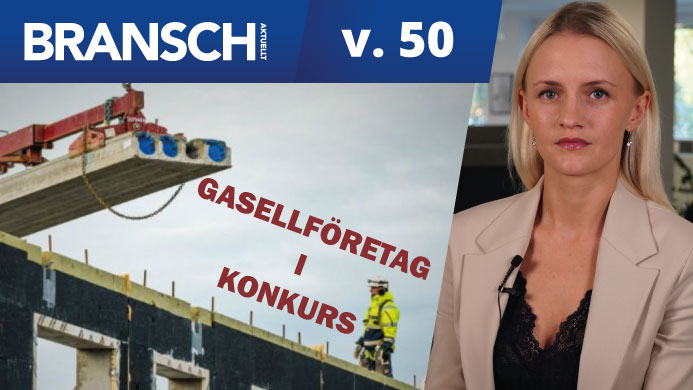 TV: Gasellföretag i konkurs