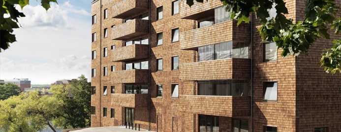 Trä – en möjlighet i kampen för miljön