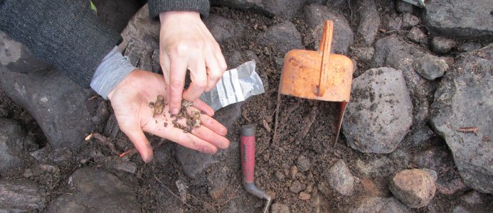 2000 år gamla ben – bonus vid vägbygge