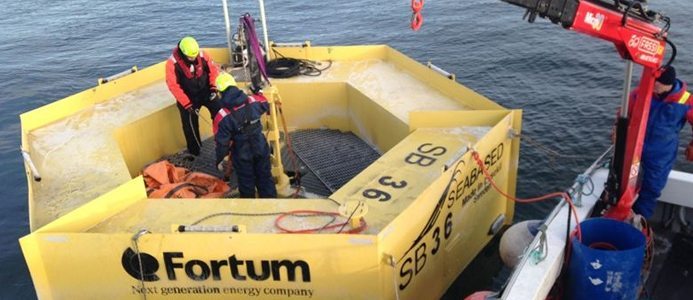 Första vågkraftselen till nordiska elnätet