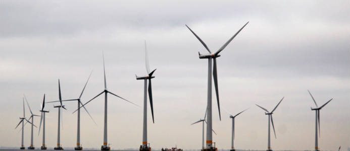 Trätorn kan sänka vindkraftens utsläpp