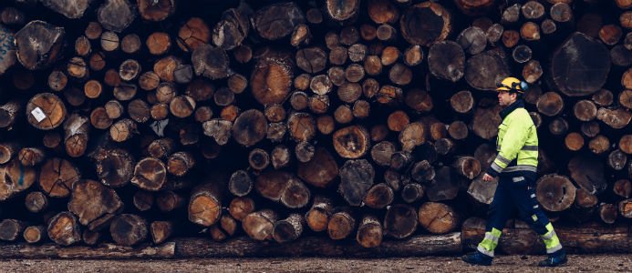 Foto: Jonas Ljungdahl