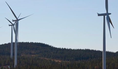 Var tredje kommun intresserad av att äga egen vindkraft