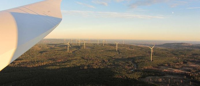 Arise vd säger upp sig