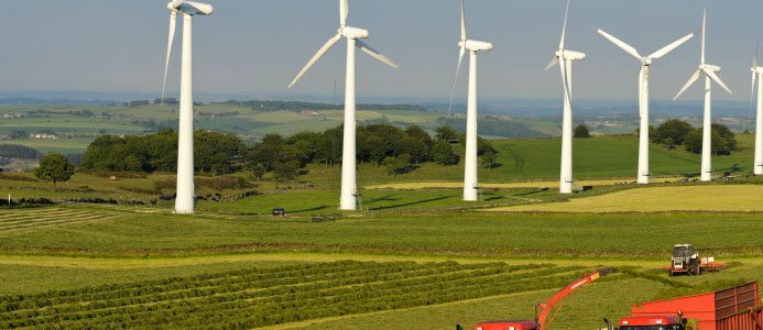 Sverige kan bli föregångsland