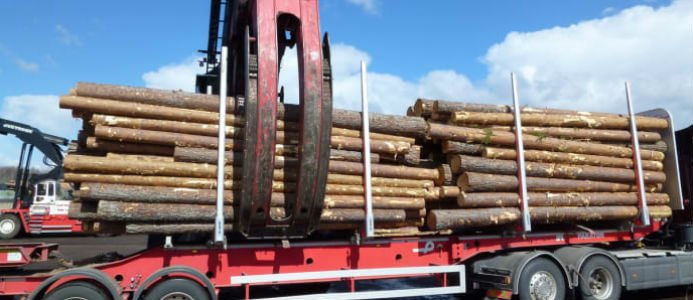 Möjligheter med fjärrstyrda virkeslastare