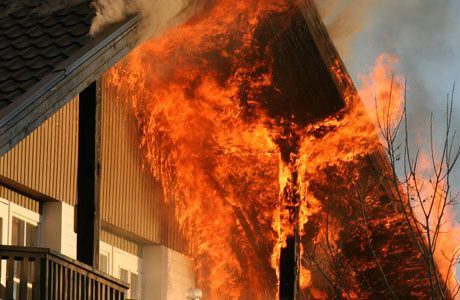 Woodsafe förädlar trä till att inte brinna – föreställ dig möjligheten