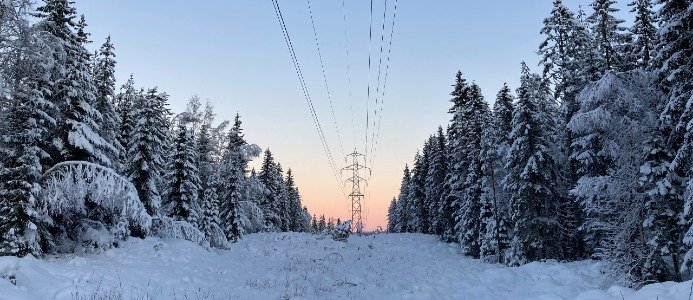 Efter elprischocken – så kan du sänka företagets kostnader