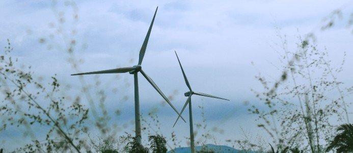 Företag vill bygga 300 meter höga vindkraftverk