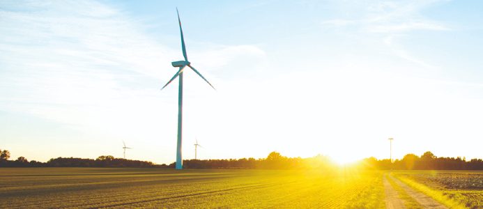 Redan idag drivs Ryds Glas servicebilar på det koldioxidsnåla drivmedlet HVO100, men år 2026 ska hela fordonsflottan ha bytts ut mot elbilar. Bild: Ryds Glas